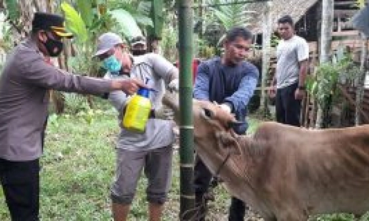 Pemerintah Tetapkan Status Keadaan Tertentu Darurat PMK