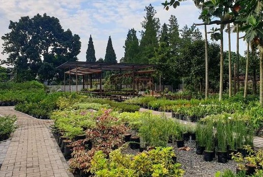 Liburan Akhir Pekan, Ini Daftar Tempat Wisata Ramah Anak di Bogor