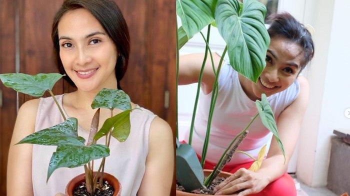 Maudy Koesnaedi, Bantu Petani Berikan Tips Cara menjual Tanaman Hias