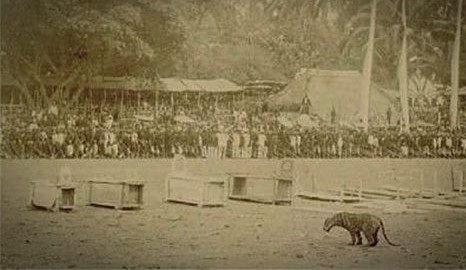 Tradisi Rampogan, Gladiator Mataram Jawa