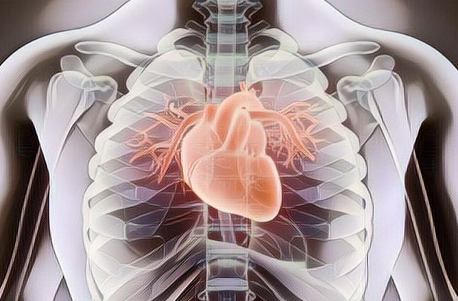 4 Makanan untuk Menjaga Jantung  Tetap Sehat