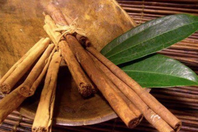 Rasakan Manfaat Racikan Daun Salam dan Kayu Manis 