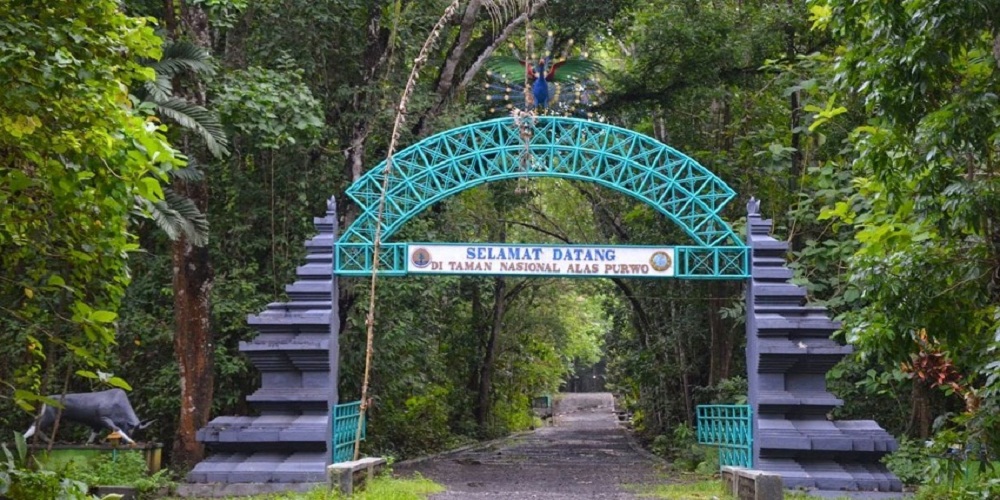 Wisata Mistis Alas Purwo, Hutan Angker Banyuwangi Tempat Semedi Soekarno 