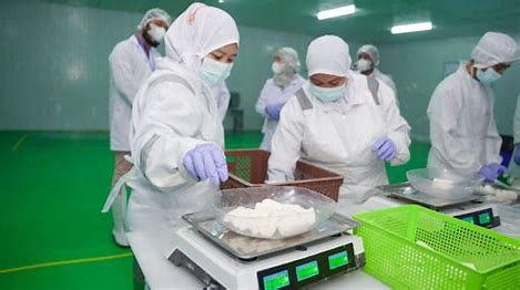 Wow! Singkong Pangan Lokal Indonesia yang Disukai Semua Masyarakat di Dunia