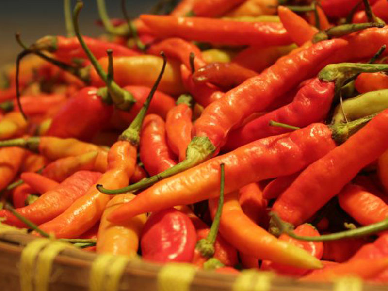 Cabai Rawit Mampu Mengobati Serangan Jantung dalam 1 Menit!