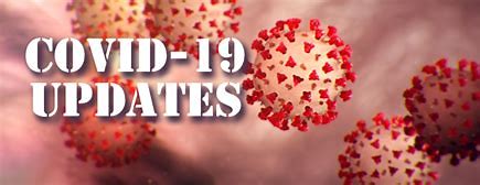 Ternyata Ini Penyebab Kasus Covid-19 RI Turun Drastis