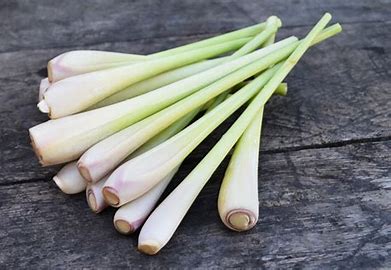 6 Khasiat Batang Serai Untuk Kesehatan Tubuh