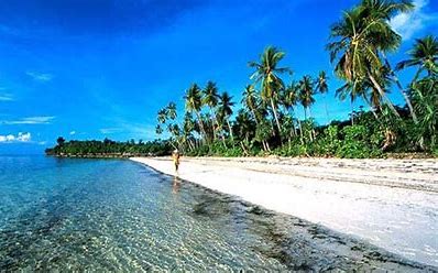 Wisata Pantai Wakat Menyejukkan Mata dengan Berbagai Keistimewaannya