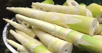 Luar Biasa! Rebung, Salah Satu Obat Efektif Cegah Penyakit Stroke