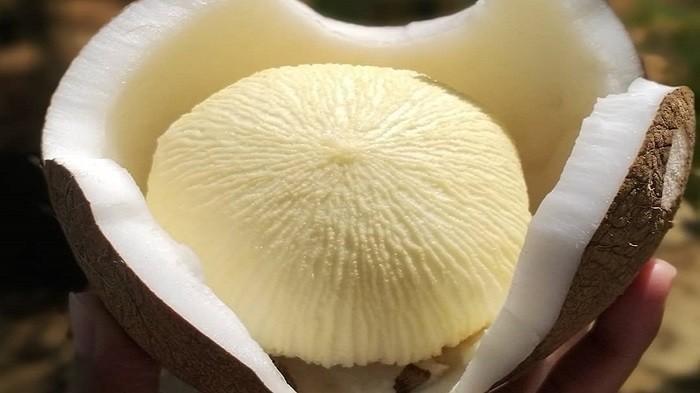 Kahsiat Kentos Kelapa yang Jarang Diketahui untuk Kesehatan