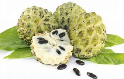 Beragam Manfaat Srikaya Untuk Kesehatan dan Lancarkan Pencernaan