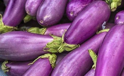 Inilah Manfaat Terong dan Kandungan di Dalamnya, Salah Satunya Menurunkan Kolesterol