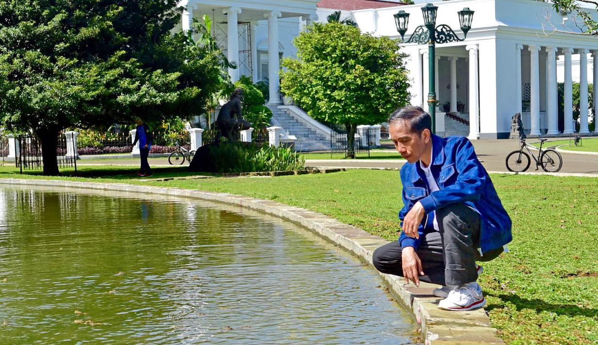 Pulang Hadiri KTT G20 di Luar Negeri, Jokowi Karantina 3 Hari di Istana Bogor