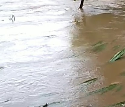 7 Titik Banjir di Tangerang Selatan