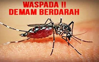 Waspada, Kasus DBD di Tangerang Meningkat