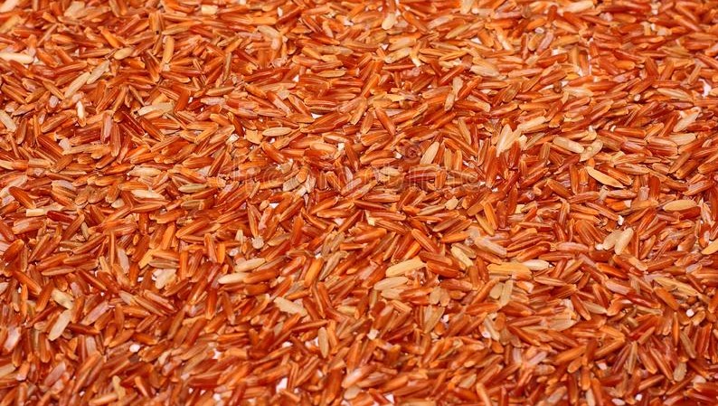 Benarkah beras merah dapat menurunkan berat badan?