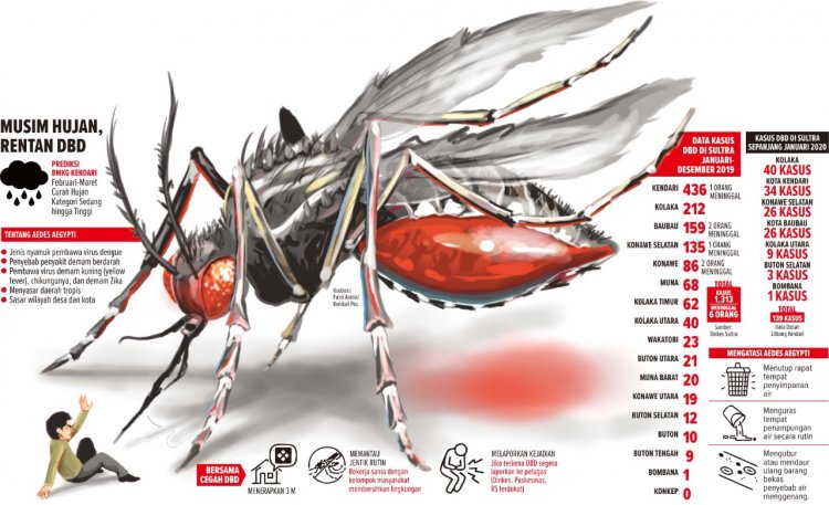 Kasus DBD di Tangsel Meningkat Tinggi