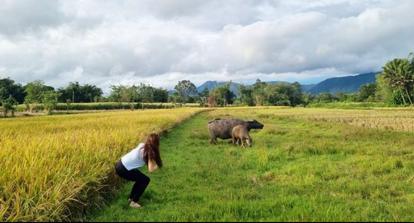 Pose Nungging Aura Kasih di Sawah, Netizen: Hmm Favorite Style Aku Nih