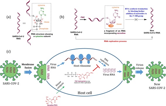 Susul Molnupiravir dan Paxlovid, China Kembangkan Azvudine