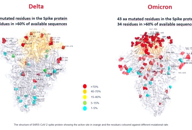 Varian Omicron COVID-19 Menunjukkan Lebih Banyak Mutasi Daripada Delta