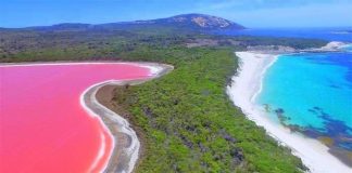 Blooming Alga, Air Berubah Warna Bukan Mistis