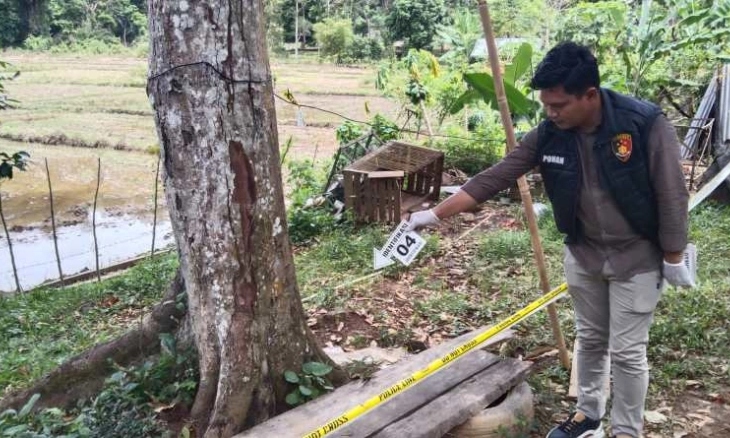 Petani Ditembak dengan Senapan Angin di Kabupaten Aceh Jaya