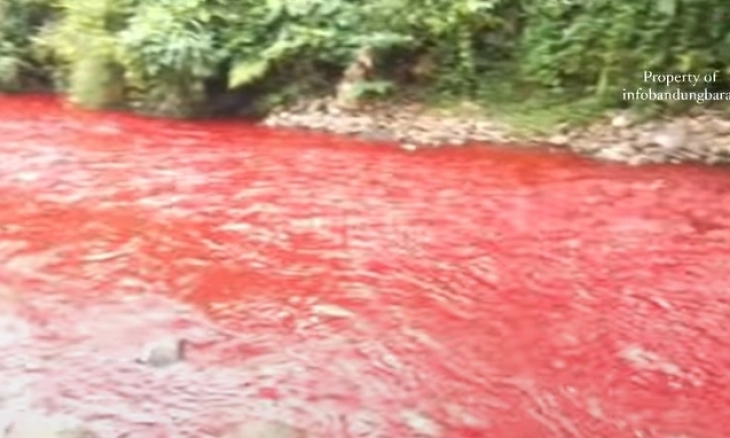 Heboh di Medsos, Air Sungai di Kabupaten Bandung Barat Berwarna Merah