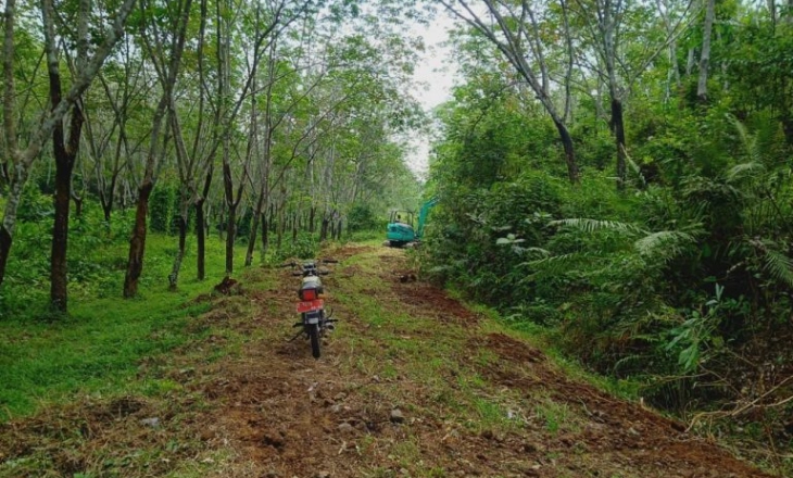 Jalan Petilasan Bung Karno di Desa Bantardawa Ciamis Kembali Dibangun