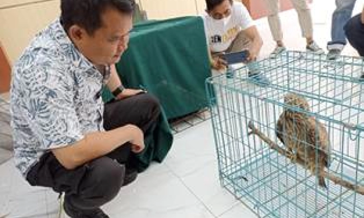 Polda Jatim Tangkap Penjual 304 Satwa Dilindungi, Harga Jual Satwa Ada yang Rp20 Juta