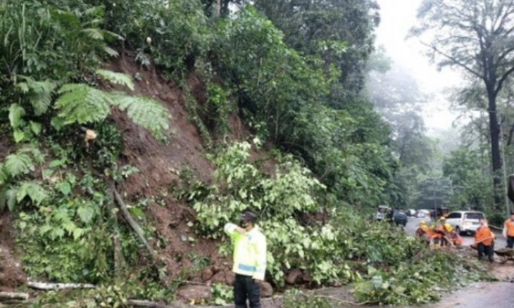 Tebing Longsor di Jalur Gumitir,  Diimbau Pengendara Berhati-hati Jika Melintas