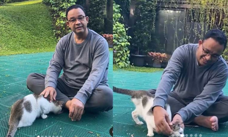Anies Baswedan Santai Bersama Lego, Kucing yang Punya Tiga Kaki