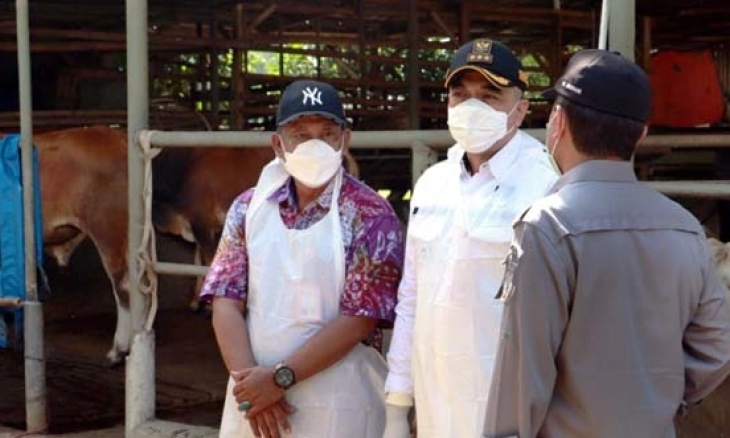 Antisipasi Wabah PMK, Bupati Zaki Tinjau Peternakan Hewan Kurban di Panongan