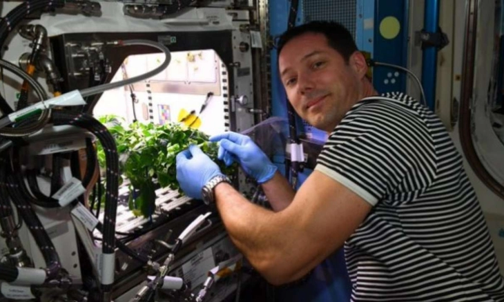 Setelah Tumbuhan, Manusia Siap Menanam 