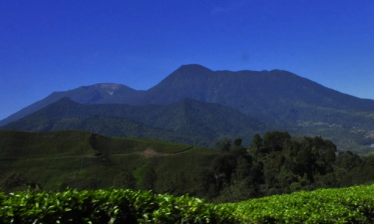 Gunung Gede Pangrango Destinasi Pendakian yang Menantang 
