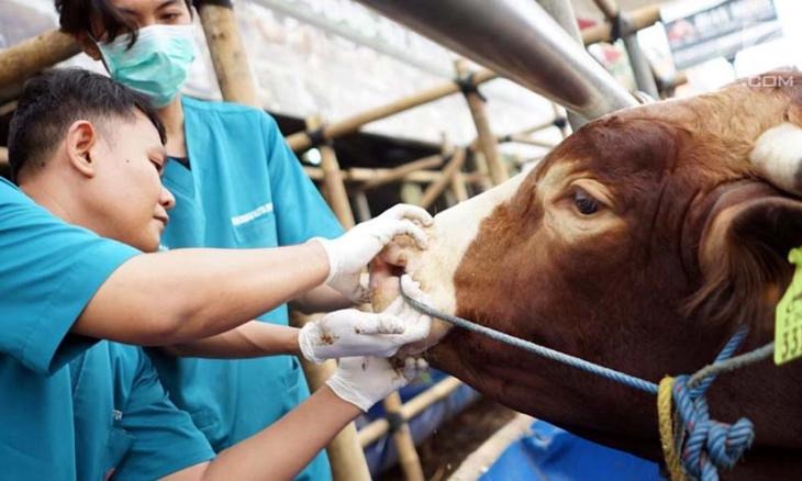 Antisipasi PMK, Pemprov Banten Perketat Pengawasan Hewan Ternak