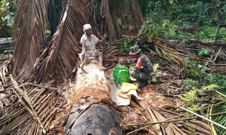 Tingkatkan Ekonomi Masyarakat, Babinsa Kodim 1712/Sarmi Bantu Olah Pohon Sagu