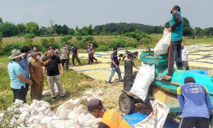Kakorbinmas Baharkam Polri Studi Banding Tanam Jagung di Lamongan untuk Petani Papua