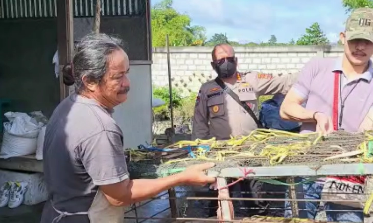 Satgas Operasi Damai Cartenz Berikan Bantuan 30 Ekor Bibit Babi untuk Warga Kabupaten Yahukimo