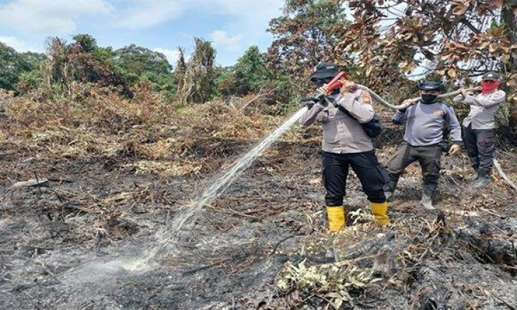 15 Hektare Lahan Gambut Terbakar di Rohil, Polisi Selidiki Pelaku dan Pemilik Lahan