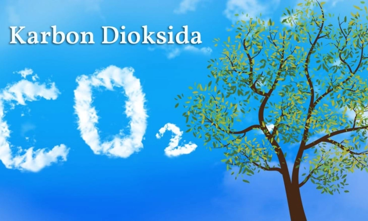 Peringatan! Tingkat Karbon Dioksida Bumi Mencapai Rekor Tertinggi Sepanjang Masa