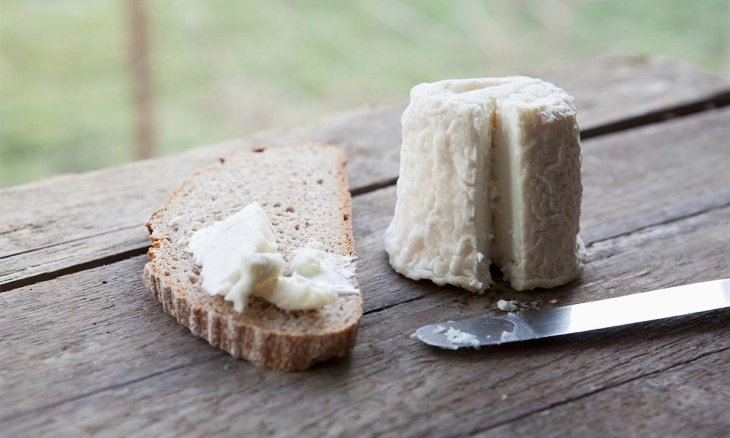 Pernahkah Anda Mencicipi Keju Termahal di Dunia? Harganya Mengejutkan