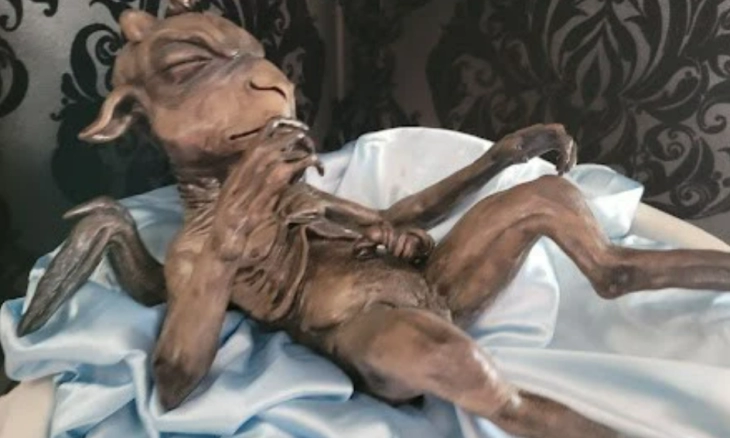 Kongres Illinois Gelar Pameran Kuil Setan, Uskup Paprocki Kecam Keras