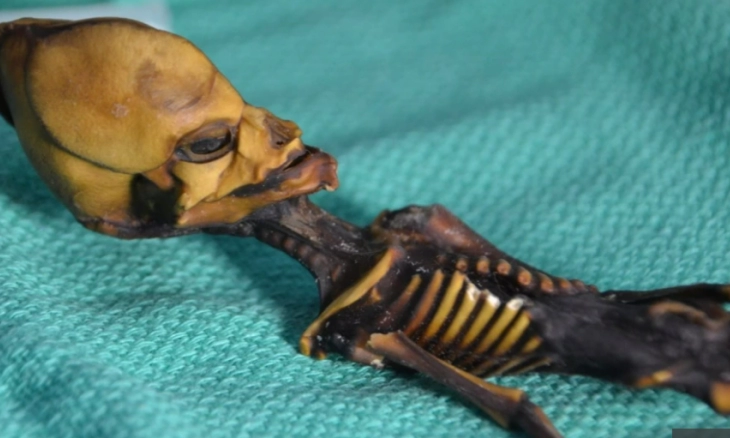 Ditemukan Kerangka Alien Mumi 6 inci, Para Ilmuwan Bingung Menganalisa