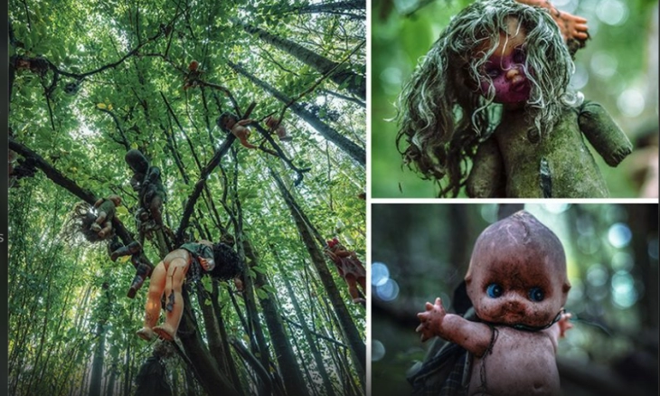 Hutan Boneka Jerman, Sering Ganggu Penjelajah di Malam Hari