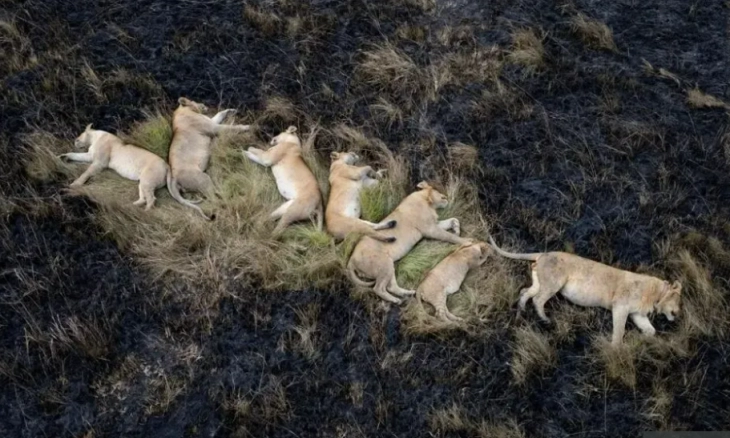 Kompetisi Travel Photographer of the Year 2022, Fortunato Gatto dari Italia Juaranya  