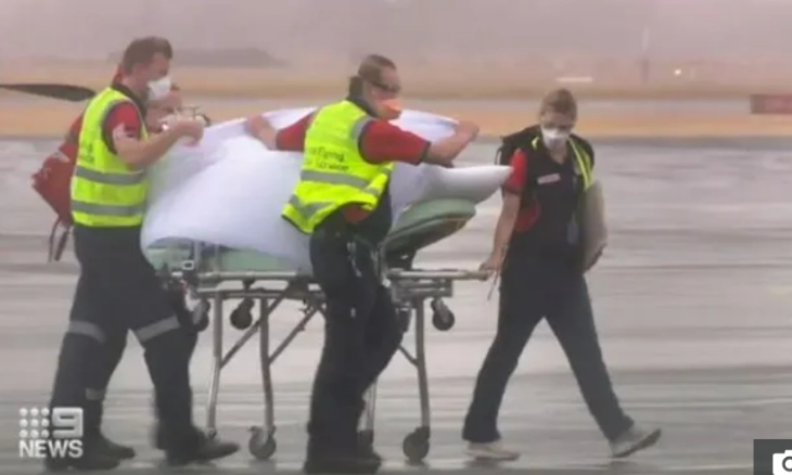 Momen Hiu Putih Besar Menyerang Wanita Muda di Pantai Wylie Australia 