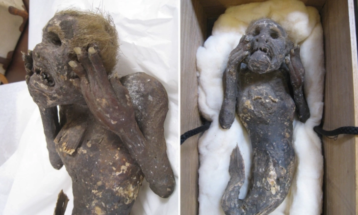 Para Ilmuwan Jepang Bingung, Ungkap Mumi Putri Duyung Berusia 300 Tahun 