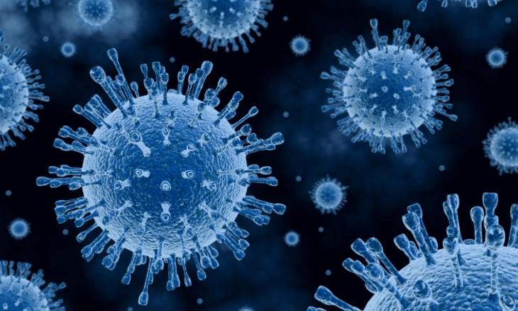 Waspadai 3 Gejala Norovirus Akibat Gigitan Serangga, Cirinya Diare dan Muntah 