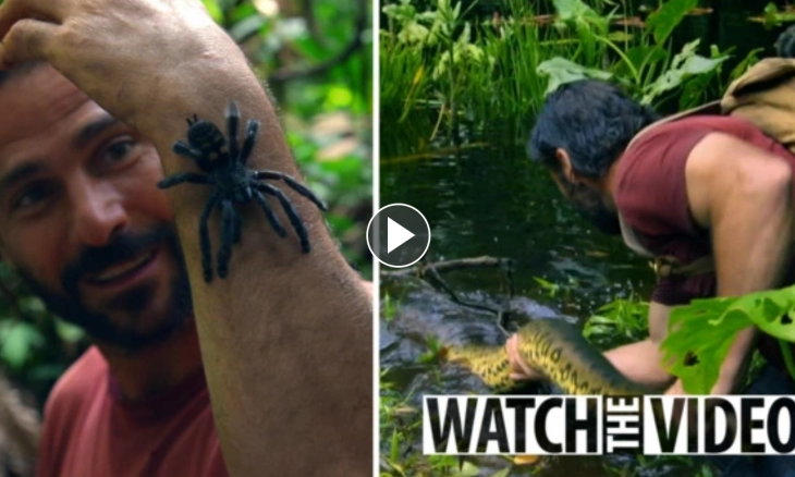 Hajen Audel Tempuh 500 Mil Perjalanan Horor Amazon, dari Mulai Belut Listik Hingga Anaconda