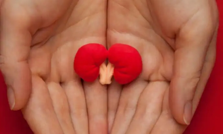 Waspada, Diabetes Bisa sebabkan Kerusakan Ginjal, Ini Pencegahannya